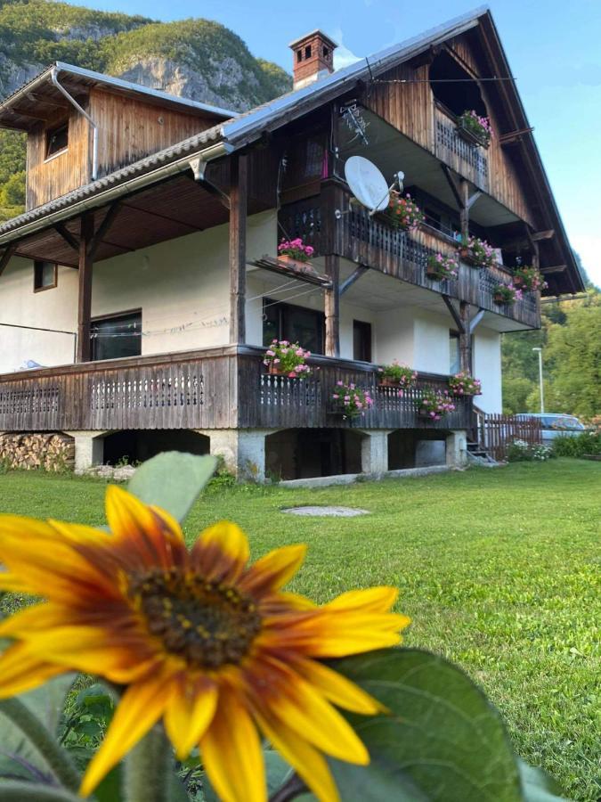 Apartment V&N, Lake Bohinj Zewnętrze zdjęcie