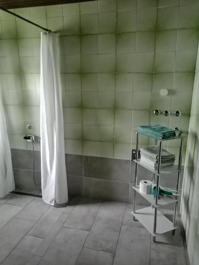 Apartment V&N, Lake Bohinj Zewnętrze zdjęcie